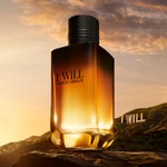 60 ML Giorgio Armani I WILL Eau De Parfum 5 di 7 Eau De Parfum