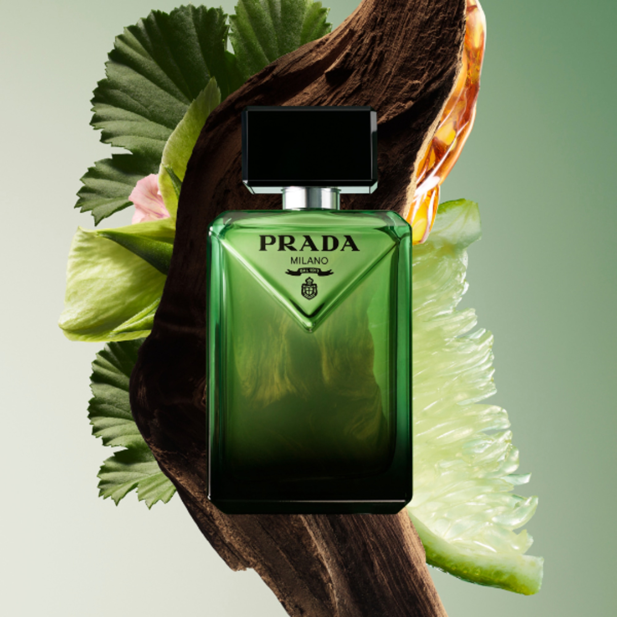 Eau De Parfum