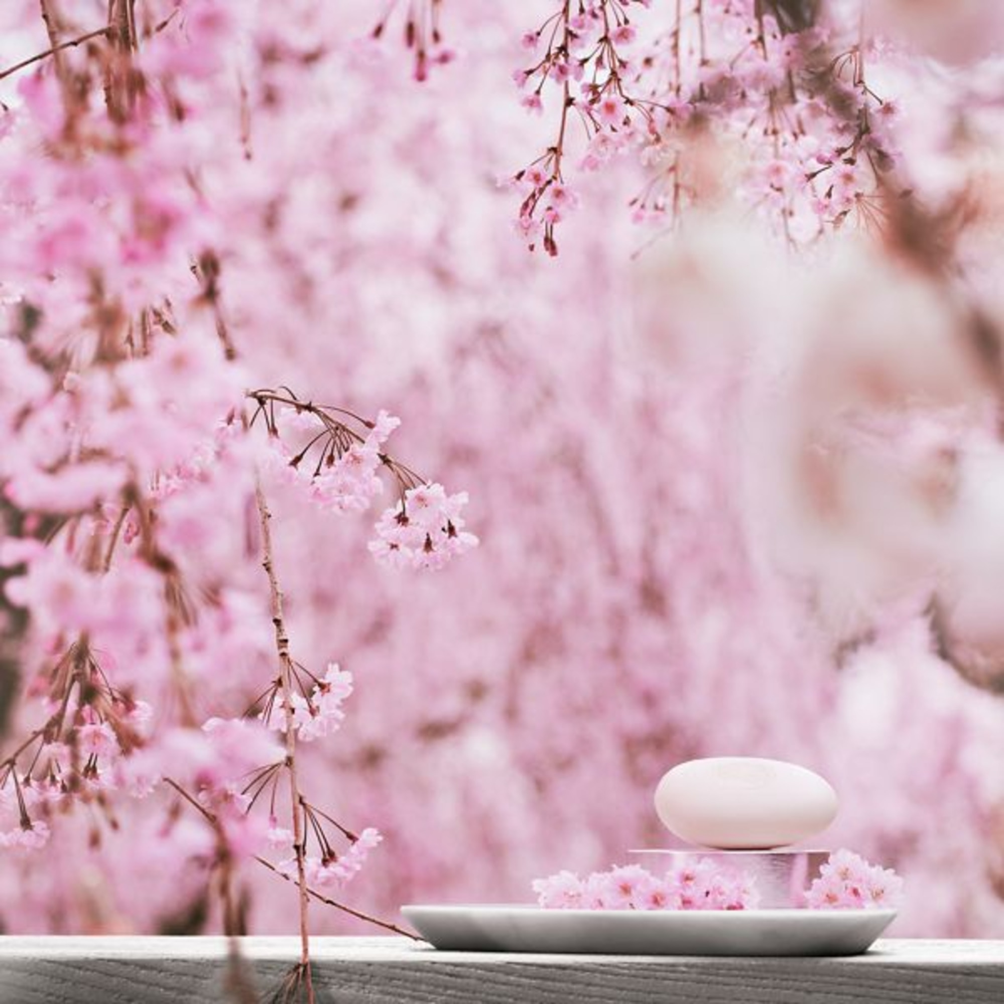 Detergente Solido per Corpo e Capelli