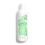 250 ML Marionnaud SKIN.SYSTÈME PARIS BATH & BODY Latte Corpo Gelsomino e Tè Verde  1 di 6 Latte Corpo Gelsomino e Tè Verde