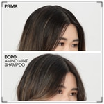 300 ML Redken AMINO MINT Shampoo 3 di 3 Shampoo