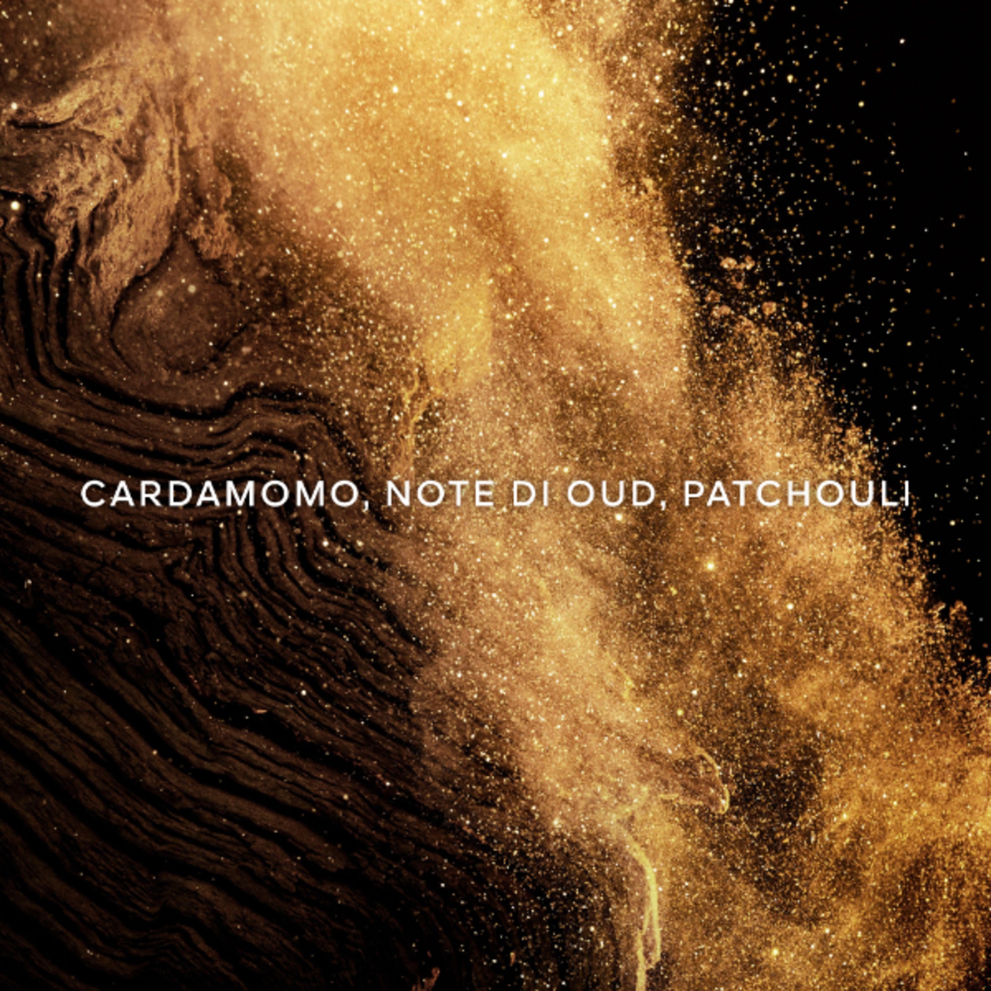 Epices Exquises - Eau de Parfum