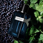 100 ML Yves Saint Laurent Y INTENSE Eau De Parfum 3 di 3 Eau De Parfum