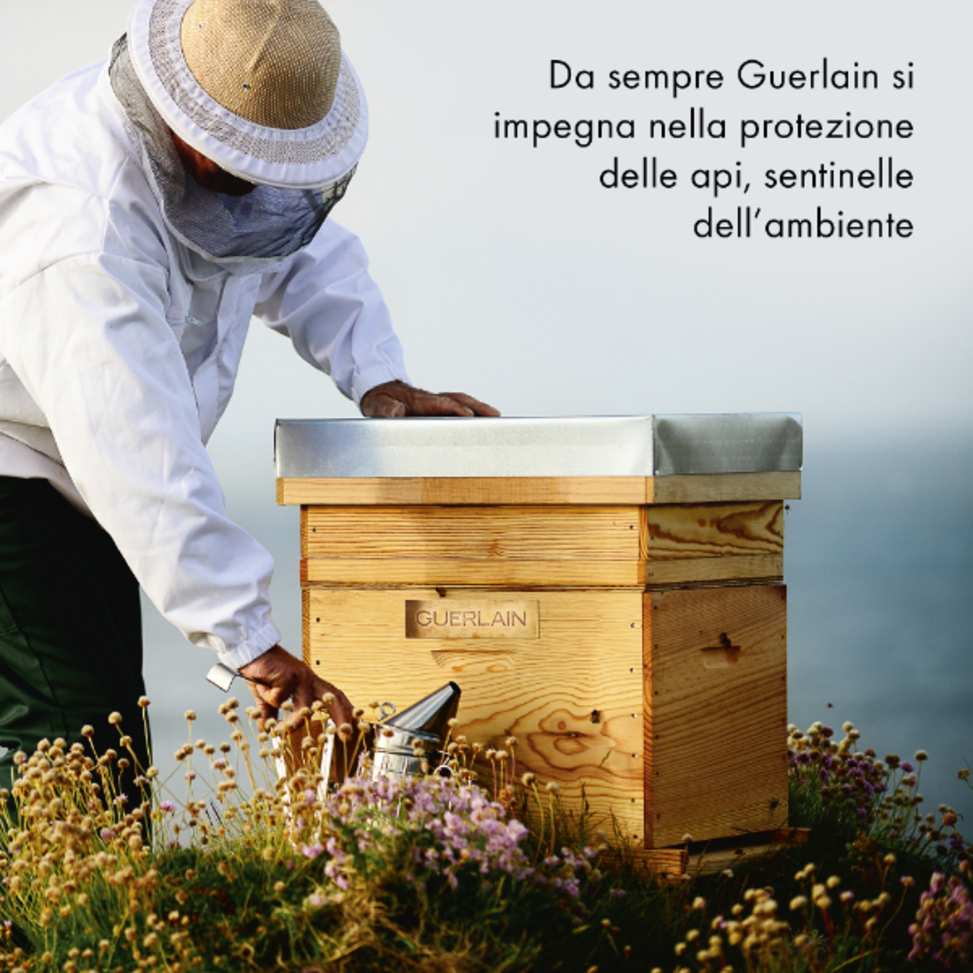 Scalp & Hair Care Brush