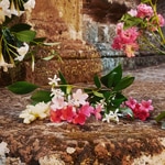 30 ML Gucci GUCCI BLOOM Eau de Toilette  2 di 3 Eau de Toilette
