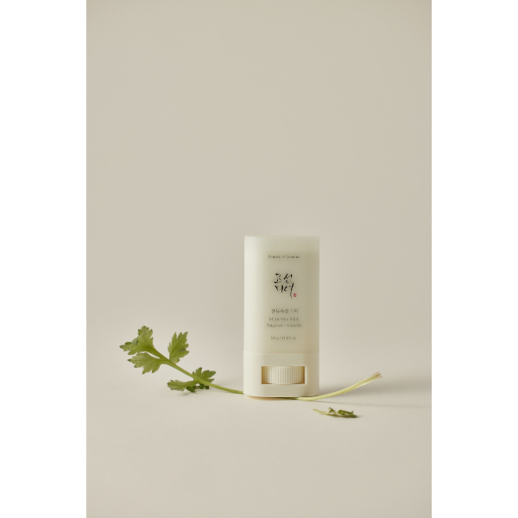 Stick Solare Mugwort + Camelia