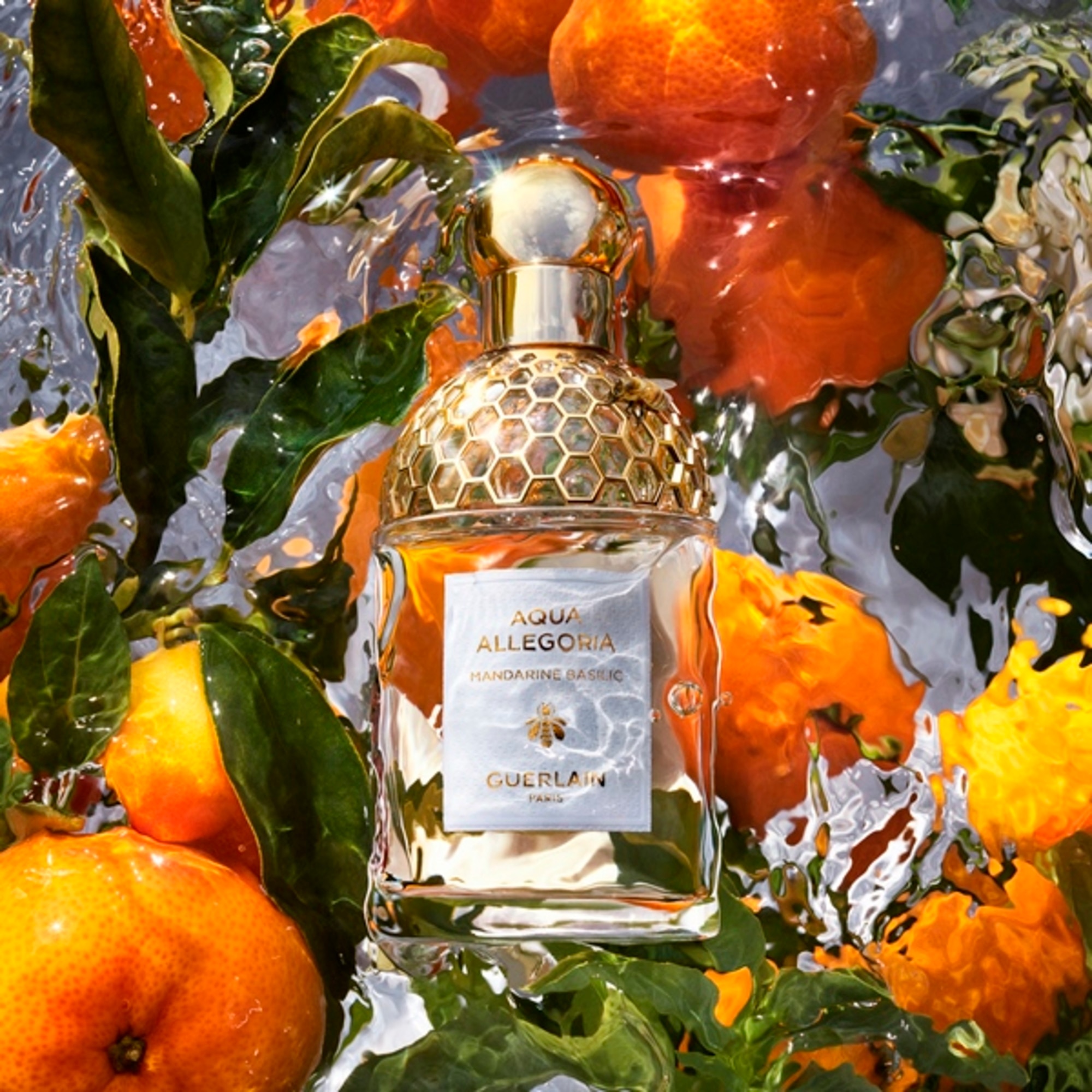 Mandarine Basilic - Eau de Toilette