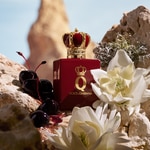 50 ML Dolce&Gabbana Q BY DOLCE&GABBANA Elixir 2 di 8 Elixir