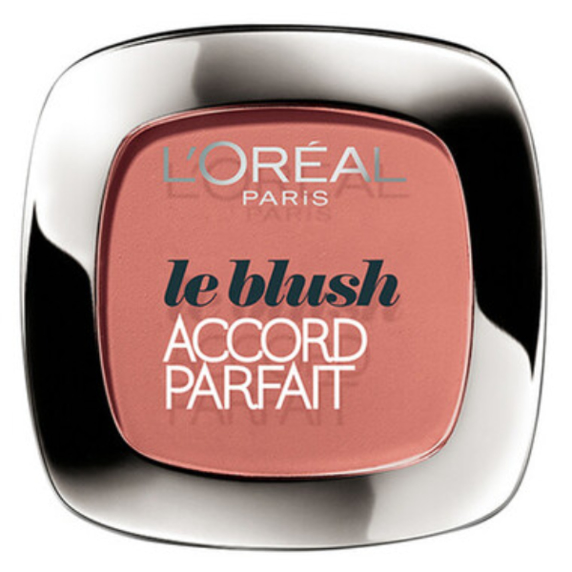 L'Oréal Paris LE BLUSH ACCORD PARFAIT BLUSH 120 1 di 1