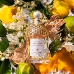 125 ML Guerlain AQUA ALLEGORIA Bergamote Calabria - Eau de Toilette  3 di 3 Bergamote Calabria - Eau de Toilette