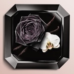 30 ML Lancôme LA NUIT TRÉSOR Eau De Parfum  2 di 3 Eau De Parfum