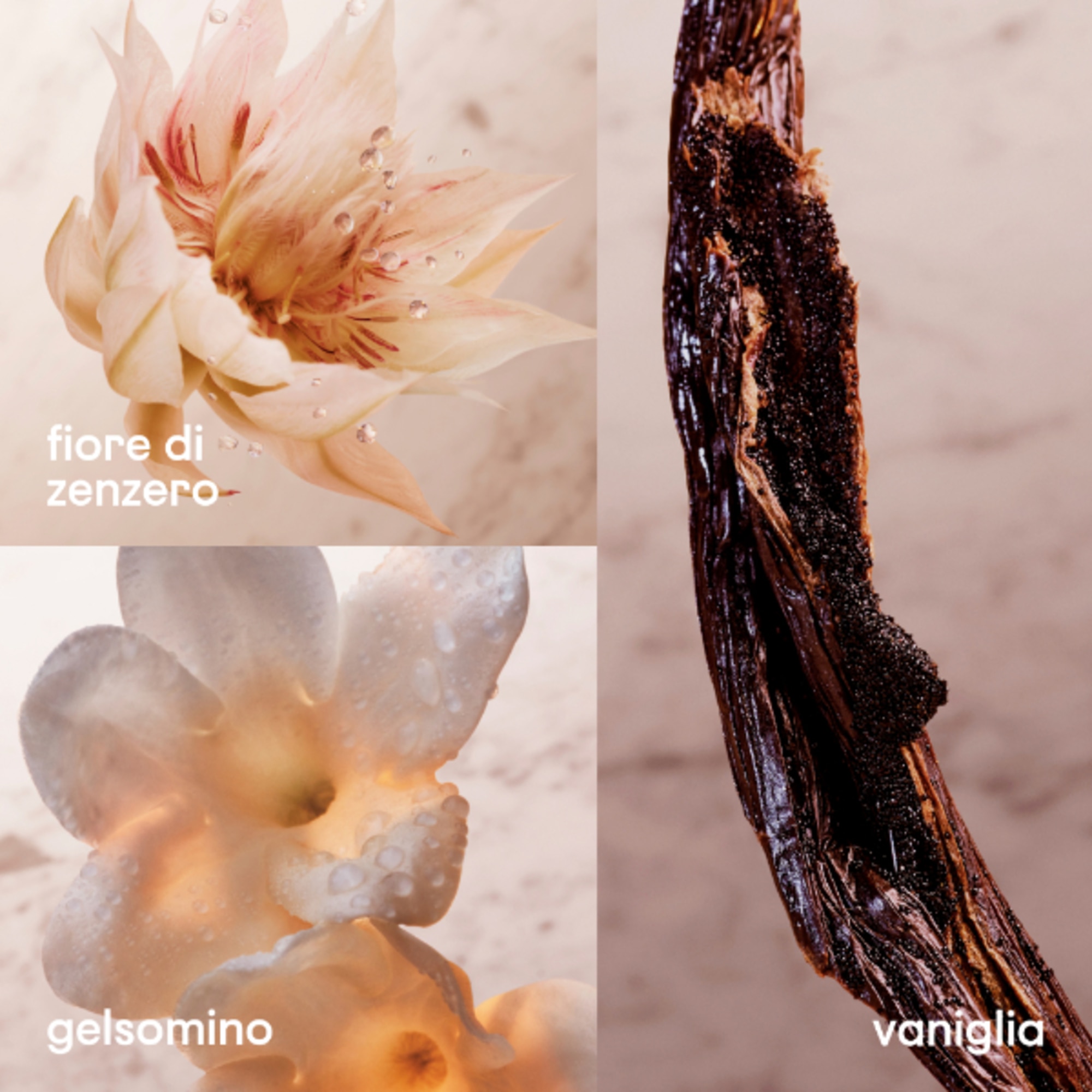 200 ML Rabanne OLYMPÉA OLYMPEA LOTION 200ML 1 di 1