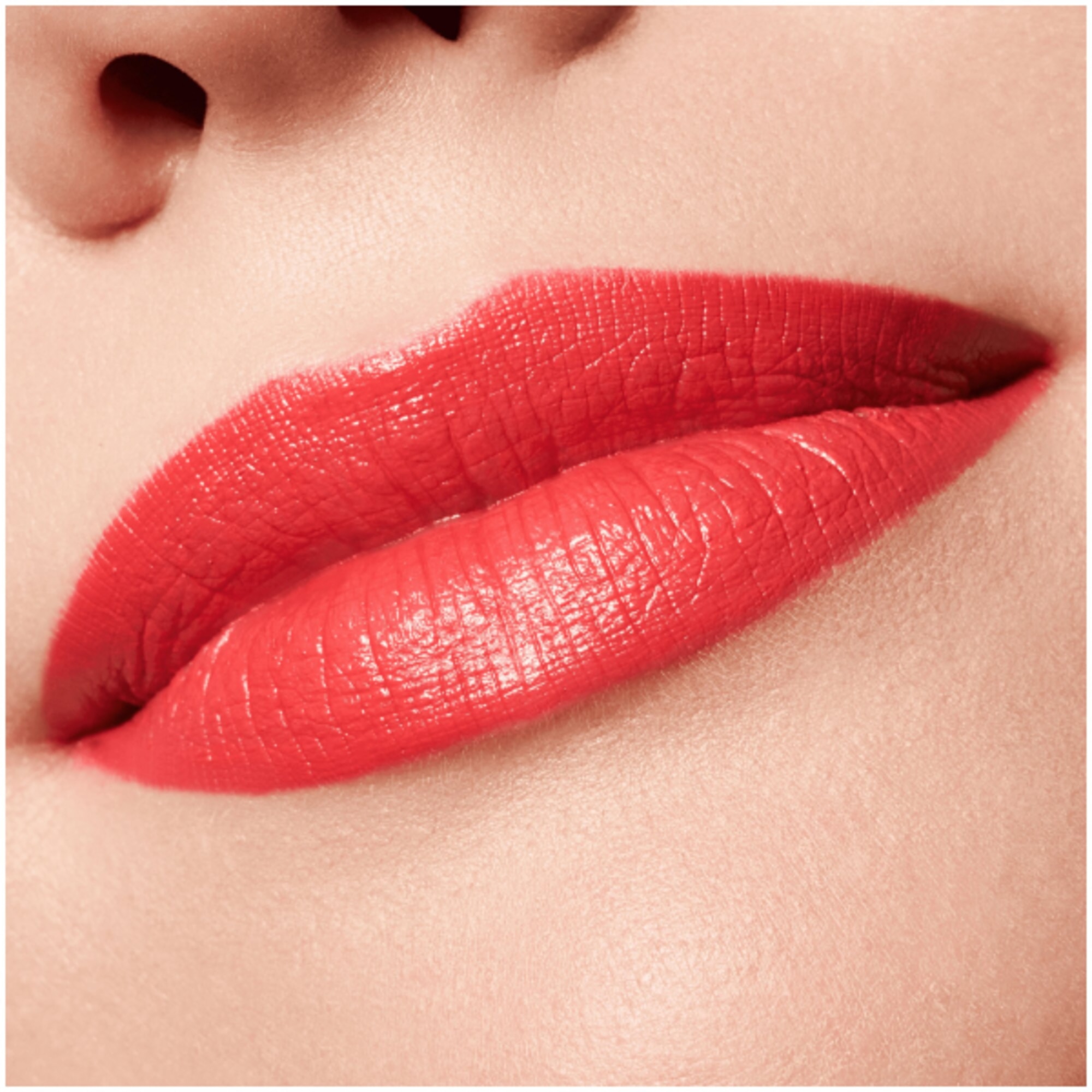 Rossetto