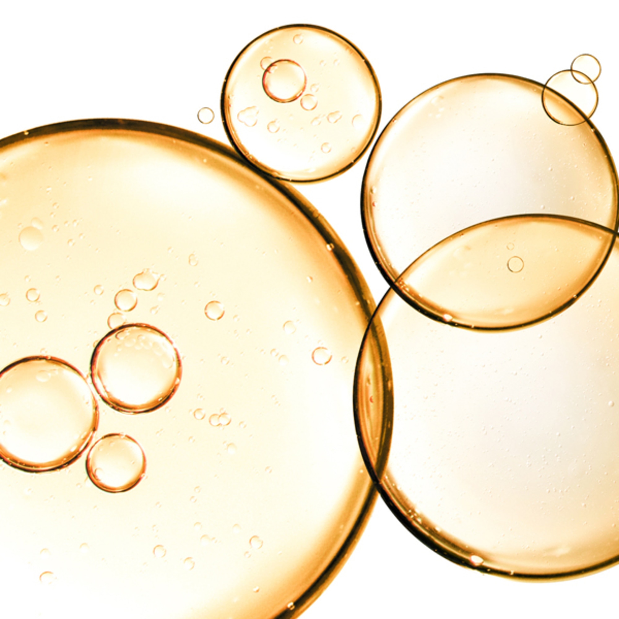 Latte Districante Express