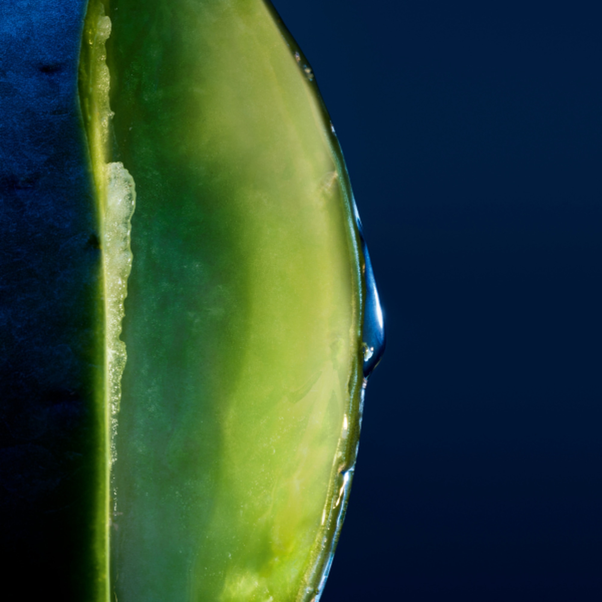 250 ML Dior SAUVAGE Shampoo Idratante  1 di 5 