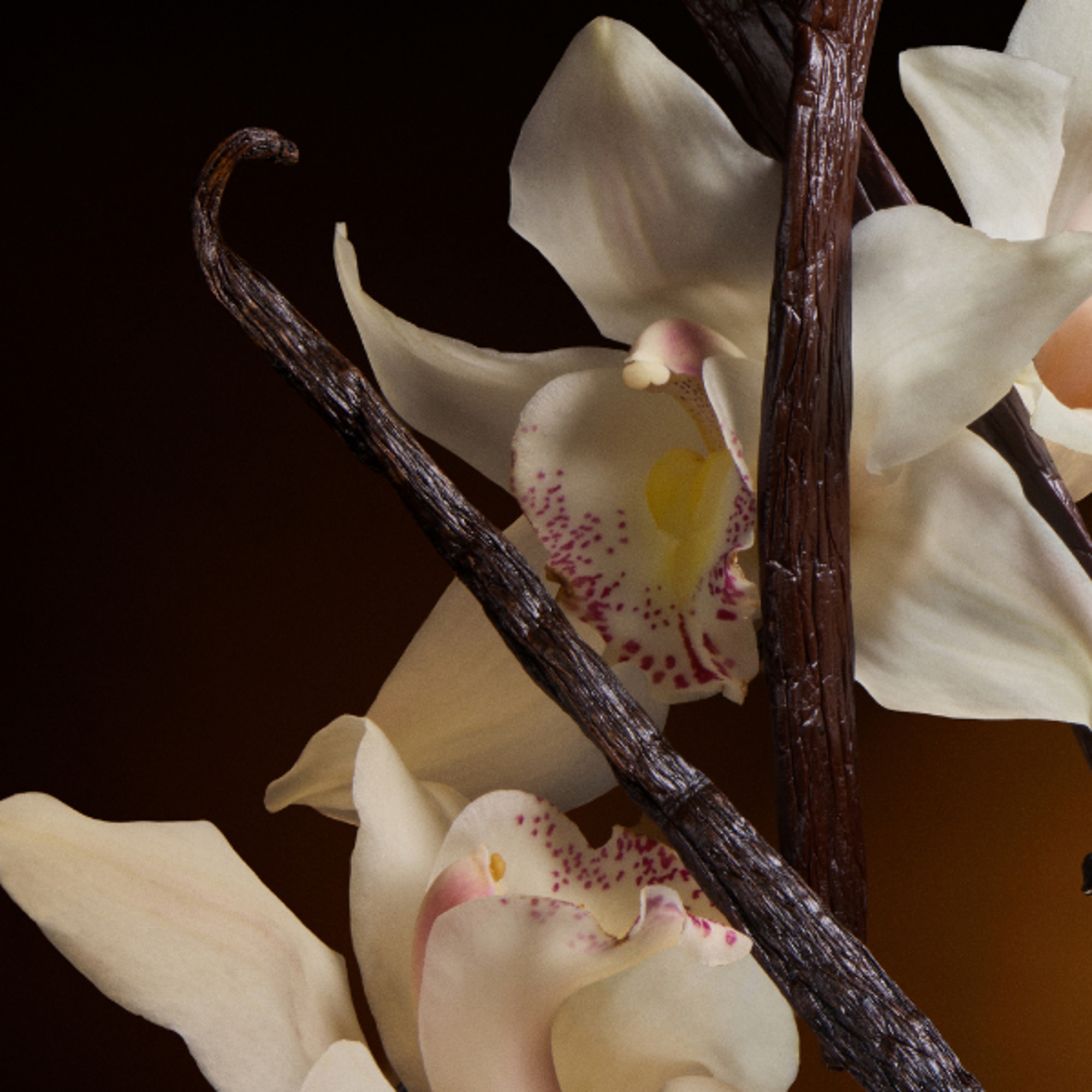 Eau De Parfum Intense