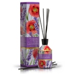 250 ML Rudy LAVENDER Diffusore Ambiente 1 di 1 Diffusore Ambiente