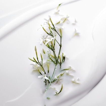 Lait Sublime