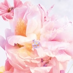 20 ML Dior MISS DIOR BLOOMING BOUQUET Roller-Pearl Eau De Toilette  3 di 4 Roller-Pearl Eau De Toilette