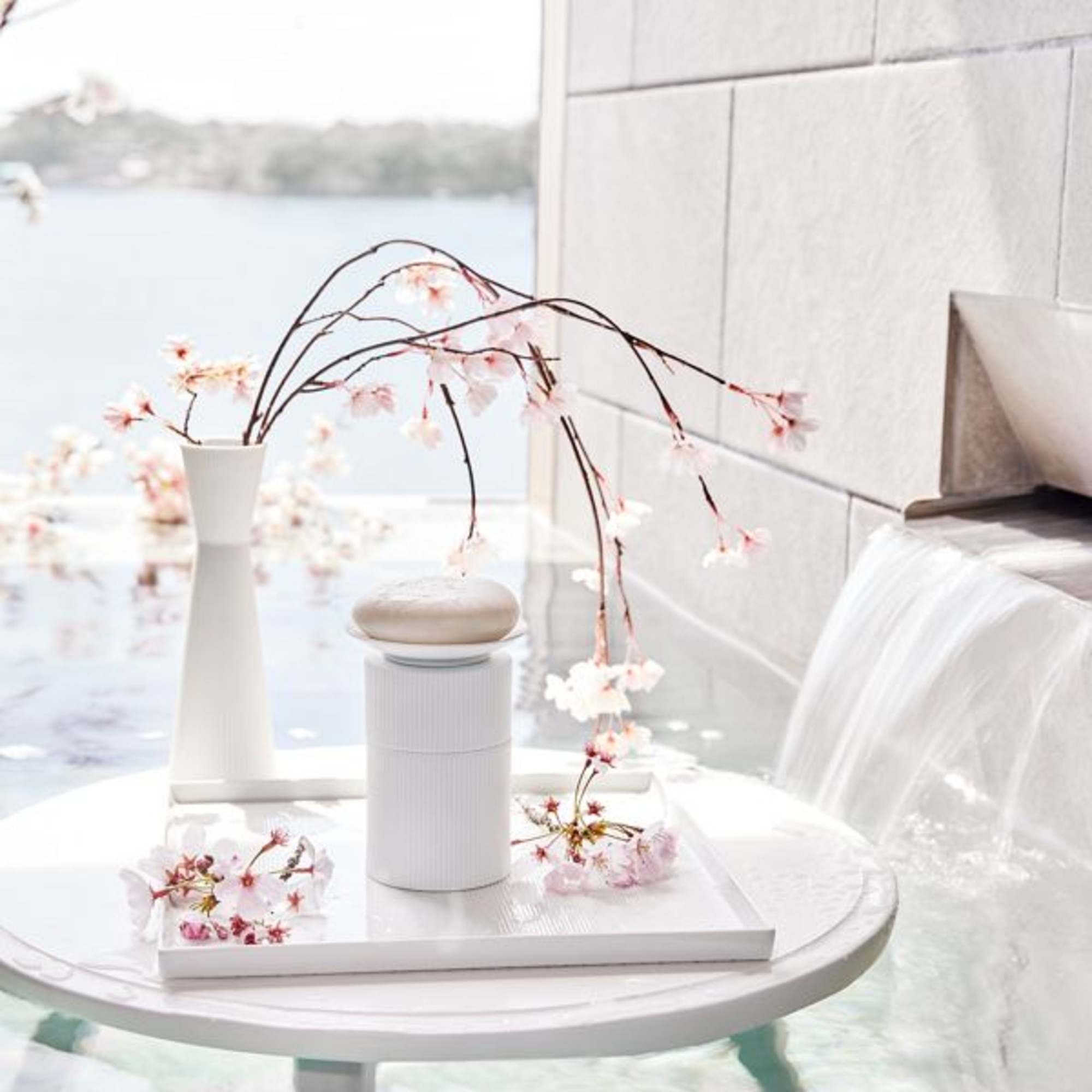 Detergente Solido per Corpo e Capelli