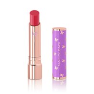 Plumping Lip Gloss Stylo