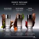 100 ML Issey Miyake LE SEL D'ISSEY Parfum 5 di 5 Parfum