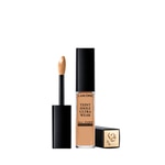 All Over Concealer