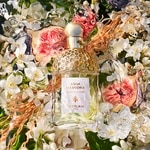 125 ML Guerlain AQUA ALLEGORIA Nerolia Vetiver - Eau de Toilette  3 di 3 Nerolia Vetiver - Eau de Toilette