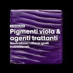 300 ML L'Oreal Professionnel VITAMINO COLOR SPECTRUM Shampoo Viola 4 di 6 Shampoo Viola