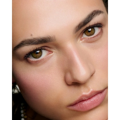 FARD IN POLVERE ILLUMINANTE - Edizione Limitata