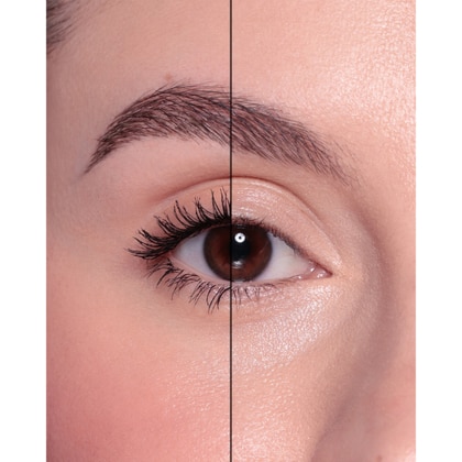 Mascara Panoramic Volume