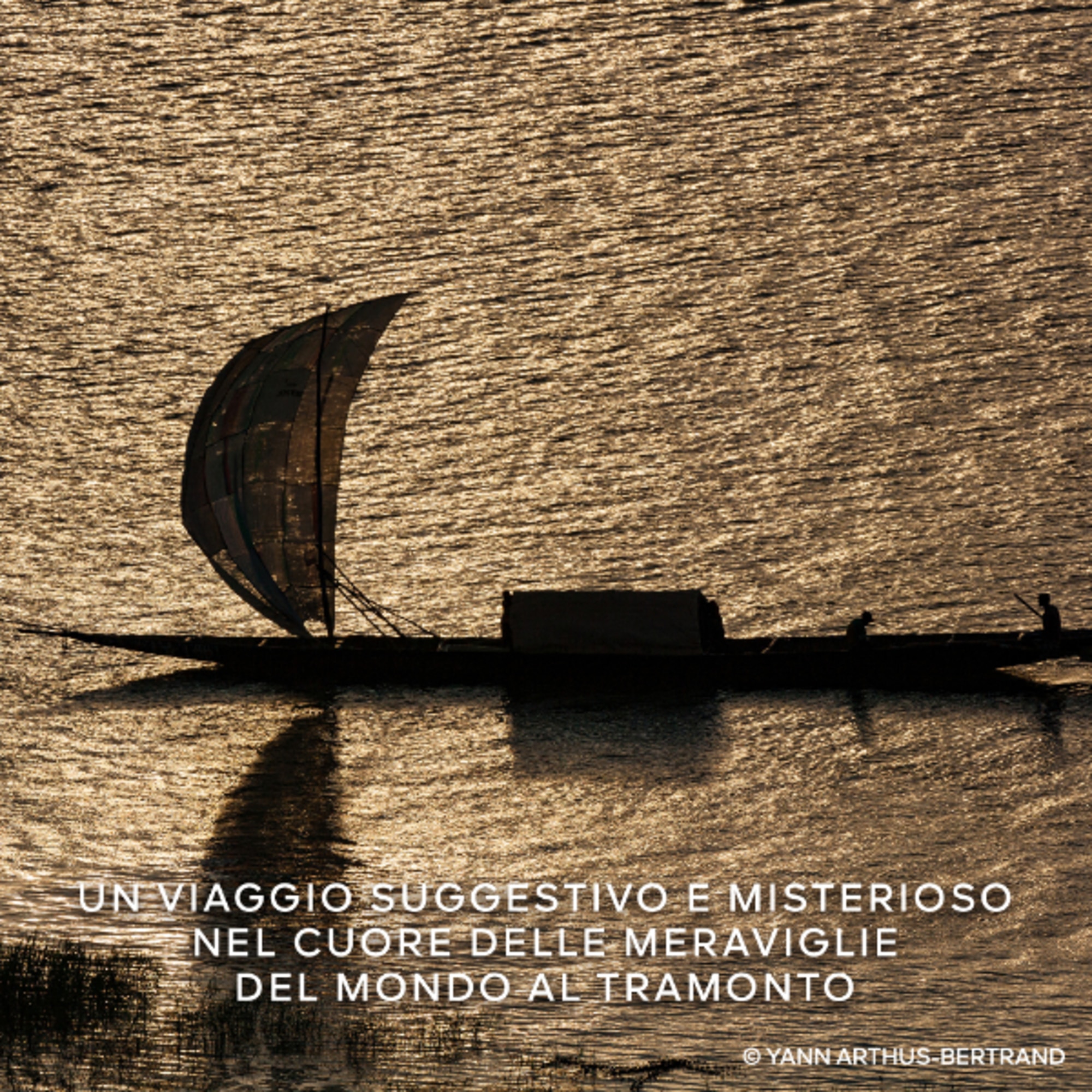 Rose Amira - Eau De Parfum