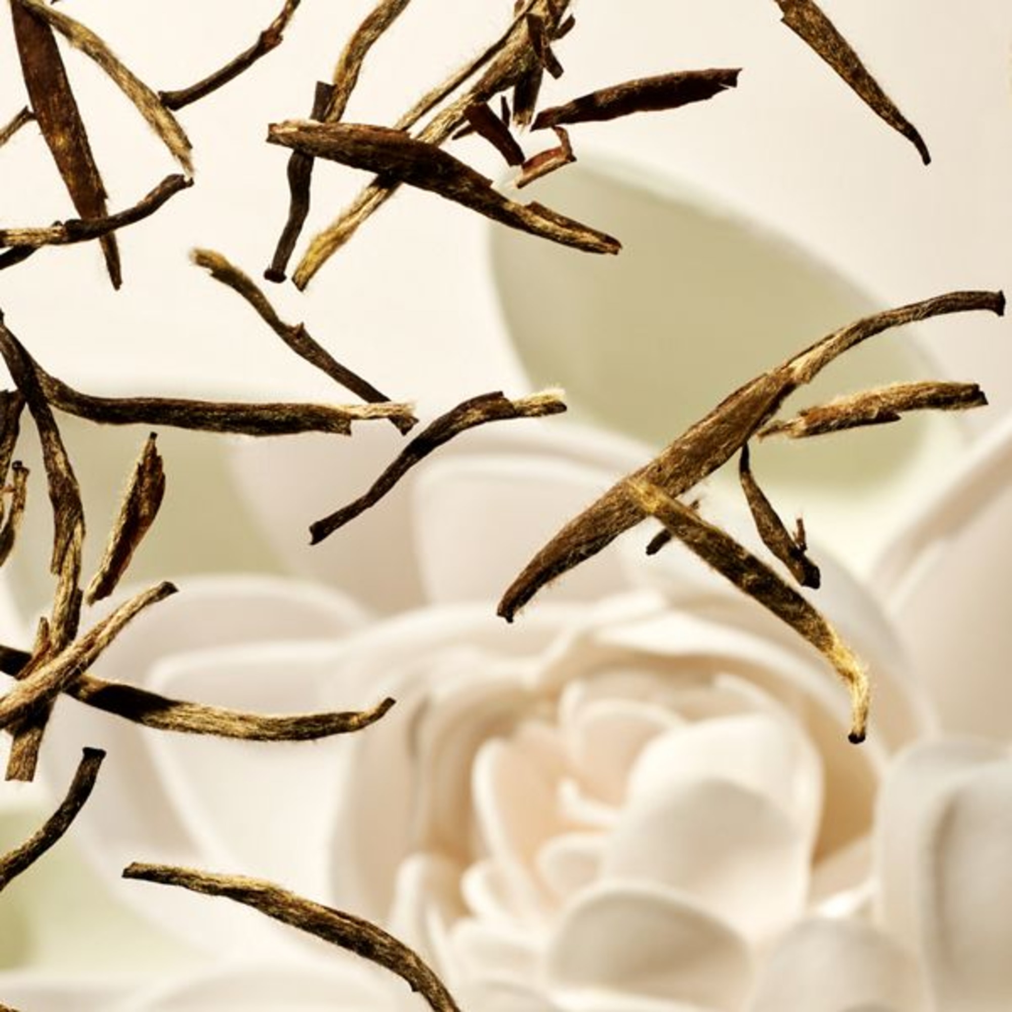 Mousse Lozione Corpo