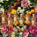 40 ML Guerlain AQUA ALLEGORIA FORTE Florabloom - Eau De Parfum 7 di 8 Florabloom - Eau De Parfum