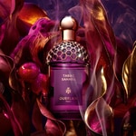 75 ML Guerlain ABSOLUS ALLEGORIA TABAC SAHARA Eau De Parfum 3 di 7 Eau De Parfum