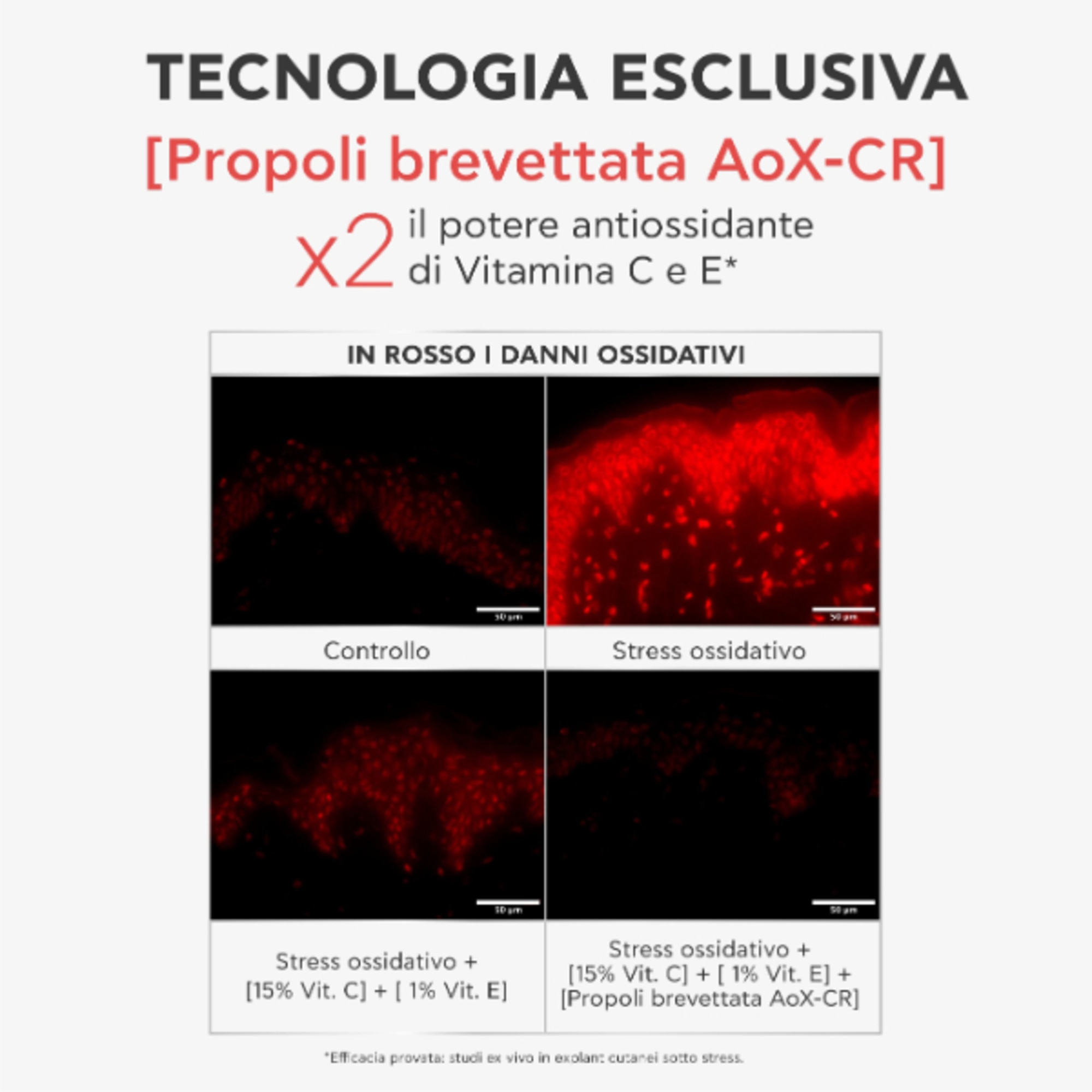C15 Propolis Correct - Siero Antiossidante