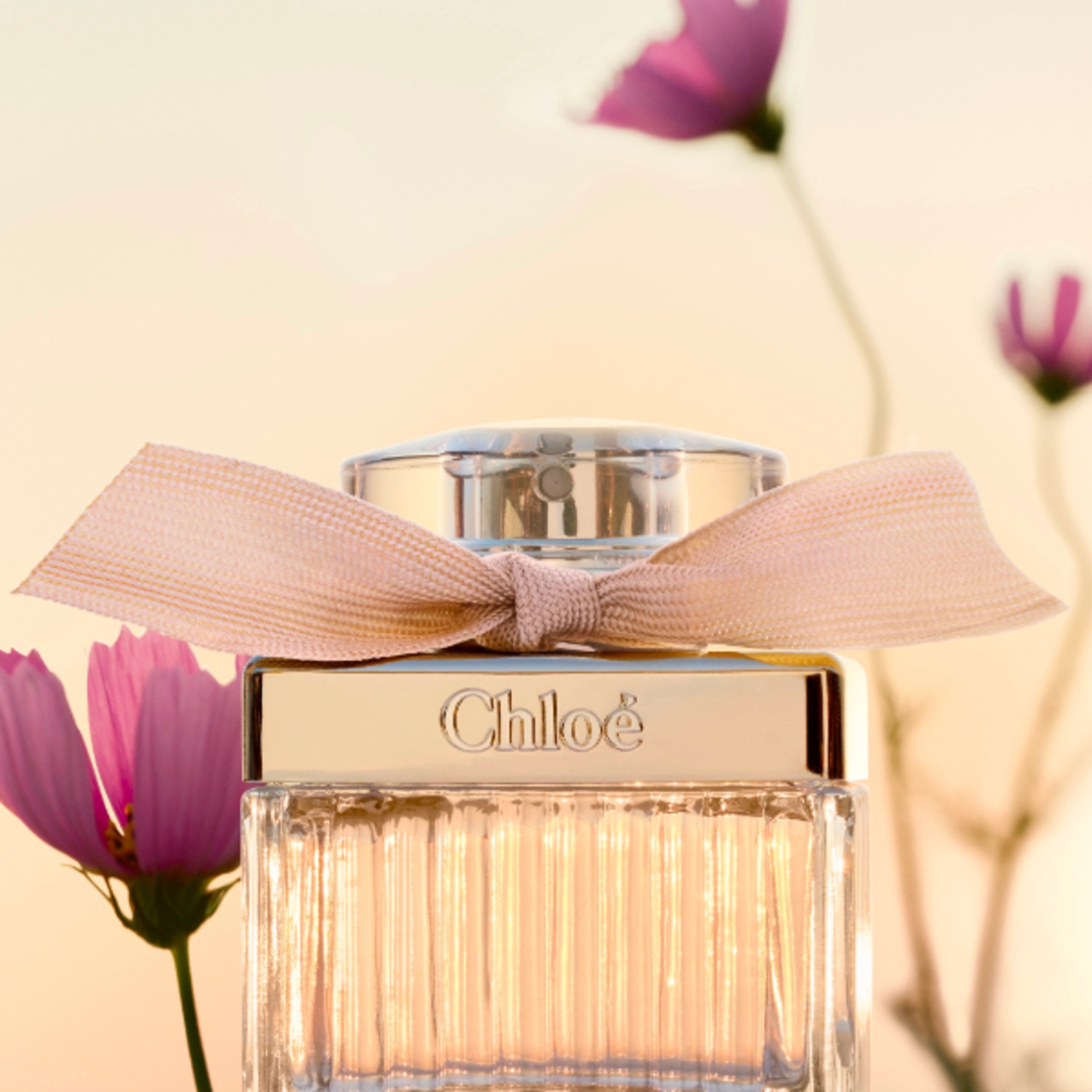 Chloe Eau Parfum Spray   30 Ml
