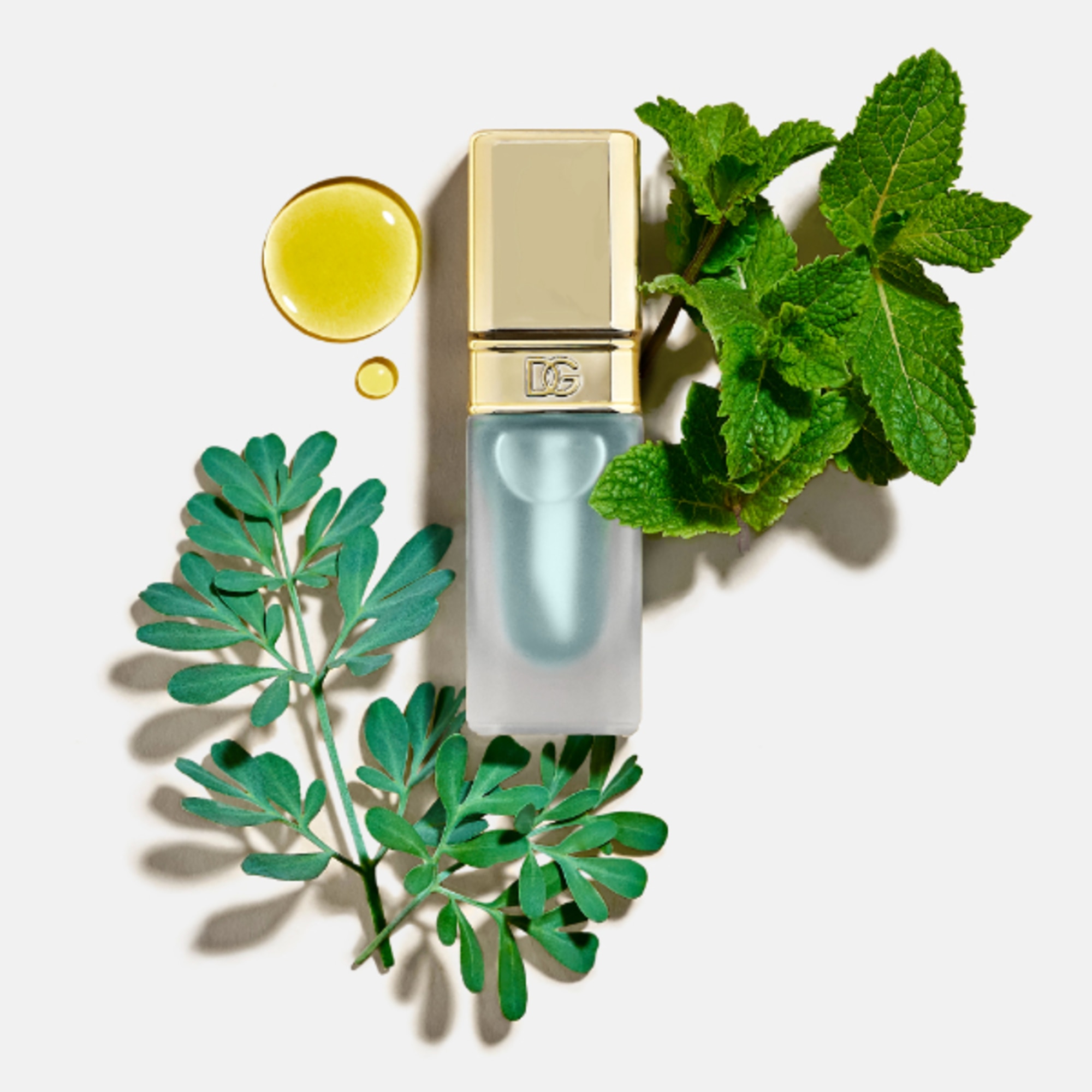 Olio Labbra Rimpolpante