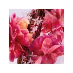 20 ML Dior MISS DIOR Parfum Roller-Pearl Profumo da Viaggio 2 di 4 Parfum Roller-Pearl Profumo da Viaggio