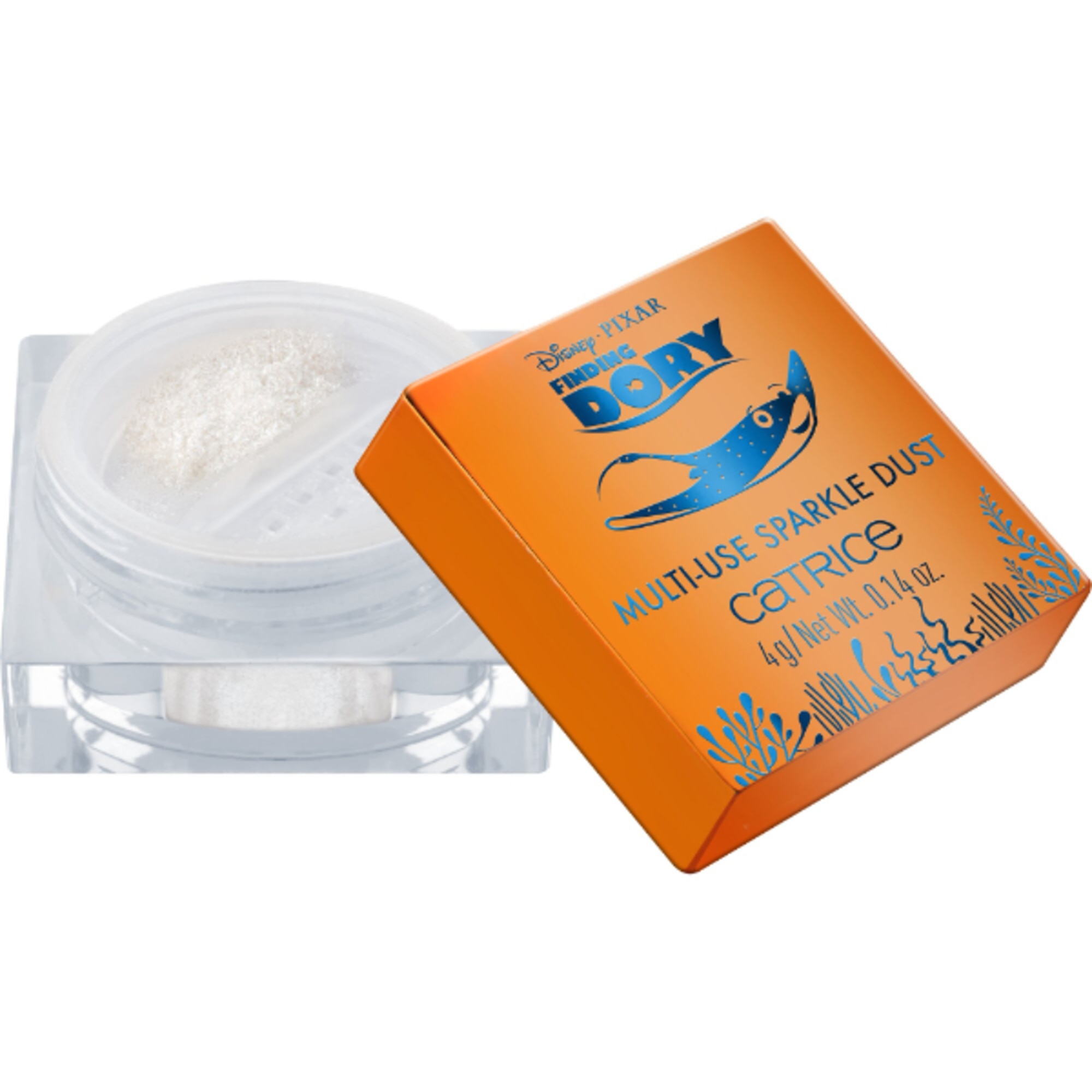 Polvere Scintillante Multi-Uso