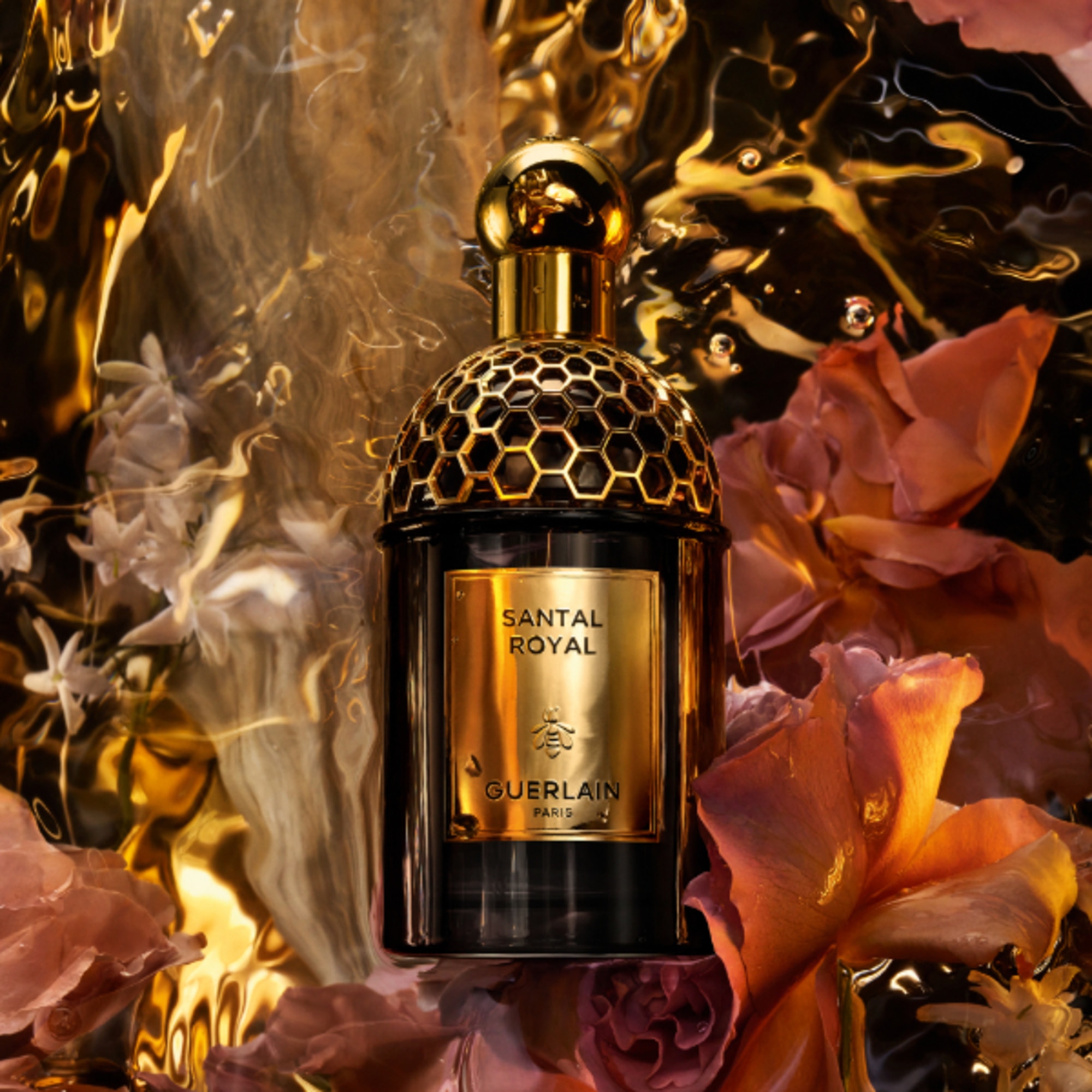 Santal Royal - Eau de Parfum