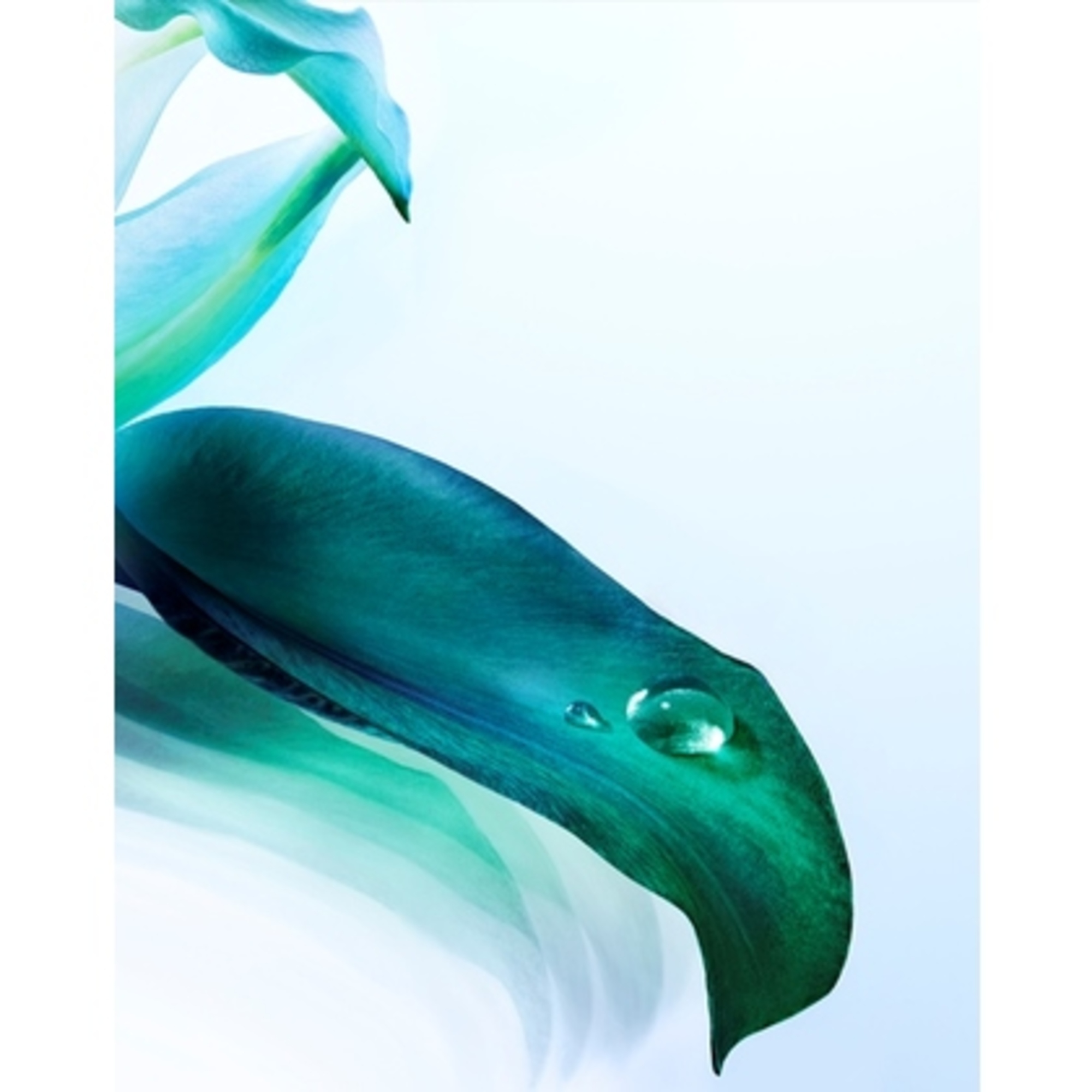 Lozione rigenerante intensa