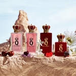 50 ML Dolce&Gabbana Q BY DOLCE&GABBANA Elixir 7 di 8 Elixir