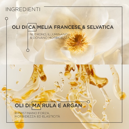 Olio Capelli