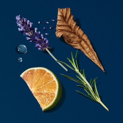 Eau De Parfum