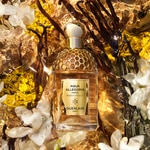 75 ML Guerlain AQUA ALLEGORIA FORTE Eau De Parfum - Bosca Vanilla 3 di 3 Eau De Parfum - Bosca Vanilla