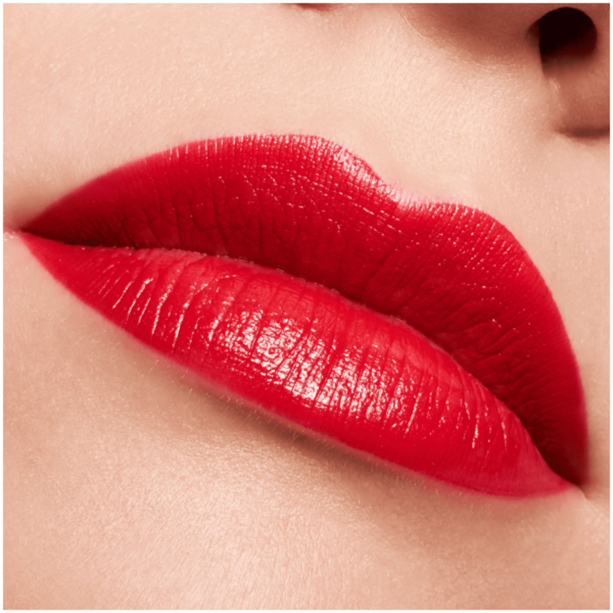 Rossetto