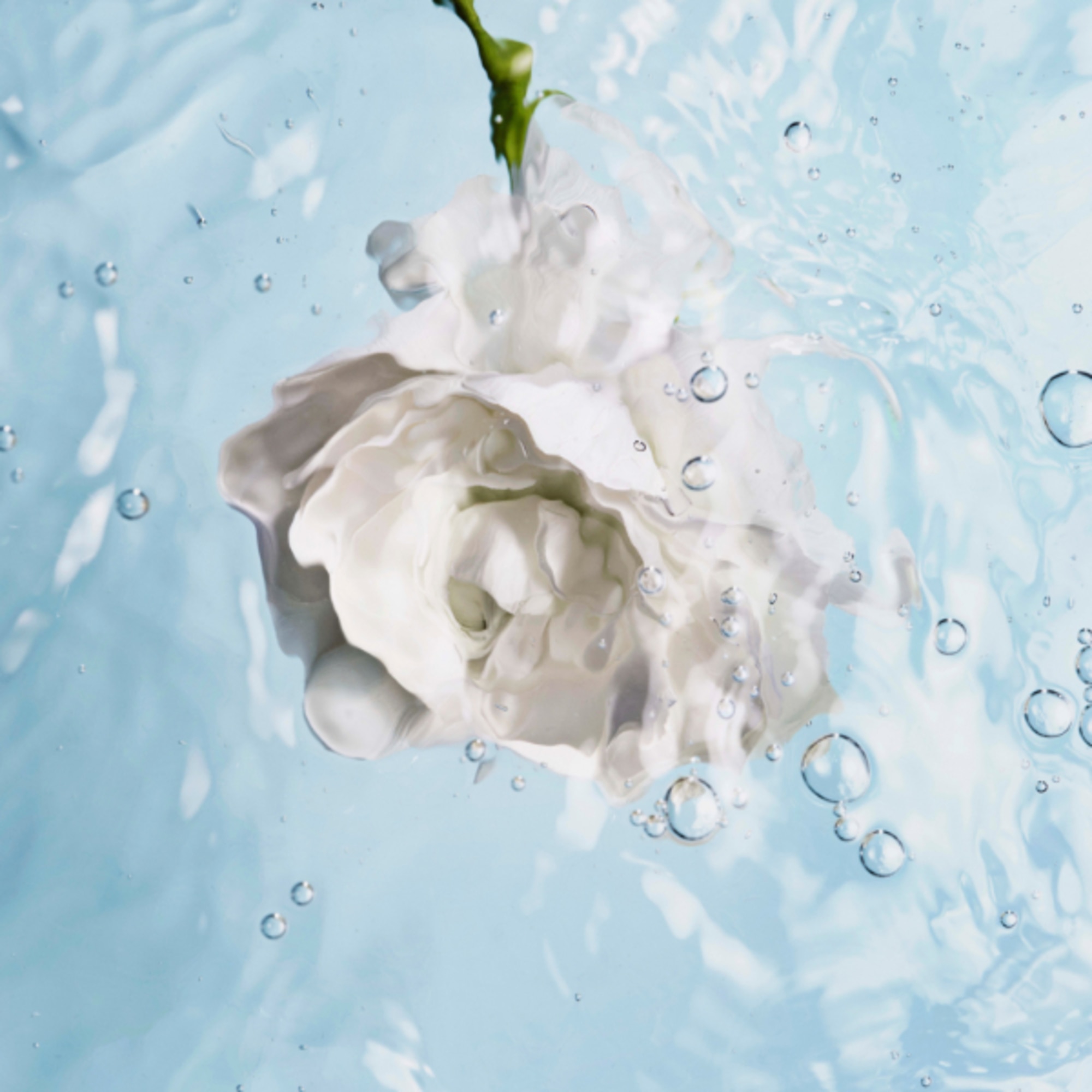 SIERO IDRATANTE RIEQUILIBRANTE RIMPOLPANTE FLACONE DOSATORE