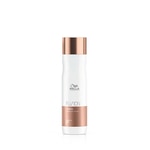 250 ML WELLA FUSION SHAMPOO Shampoo 1 di 1 Shampoo