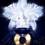 50 ML Guerlain ORCHIDÉE IMPÉRIALE La Crème: trattamento anti-età rigenerante d'eccezione  2 di 3 La Crème: trattamento anti-età rigenerante d'eccezione